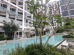 Visioncrest Orchard (D9), Condominium #585168031
